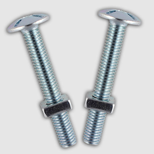 Picture of M6 x 20mm ROOFING BOLT & SQUARE NUT (12)